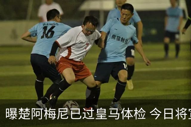 曝楚阿梅尼已过皇马体检 今日将宣他加盟及魔笛续约
