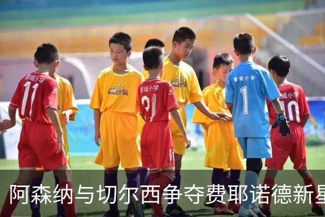 阿森纳与切尔西争夺费耶诺德新星泽希尔，市场风云再起